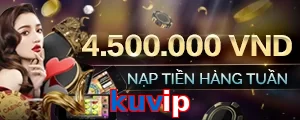 kuvip