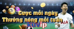 kuvip